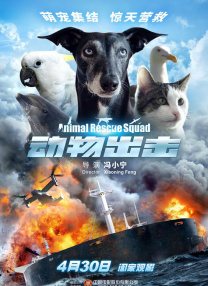 91精品视频在线看